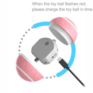 Interactive Dog Ball – Durable Motion Activated Automatic Rolling Ball for Small/Medium/Large Dogs toy